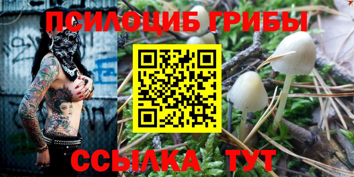 Кудымкар  Галлюциногенные грибы Psilocybine cubensis  Вход с VPN 