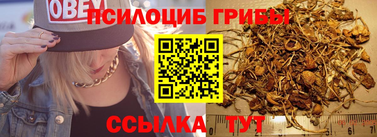 Галлюциногенные грибы MAGIC MUSHROOMS Кудымкар